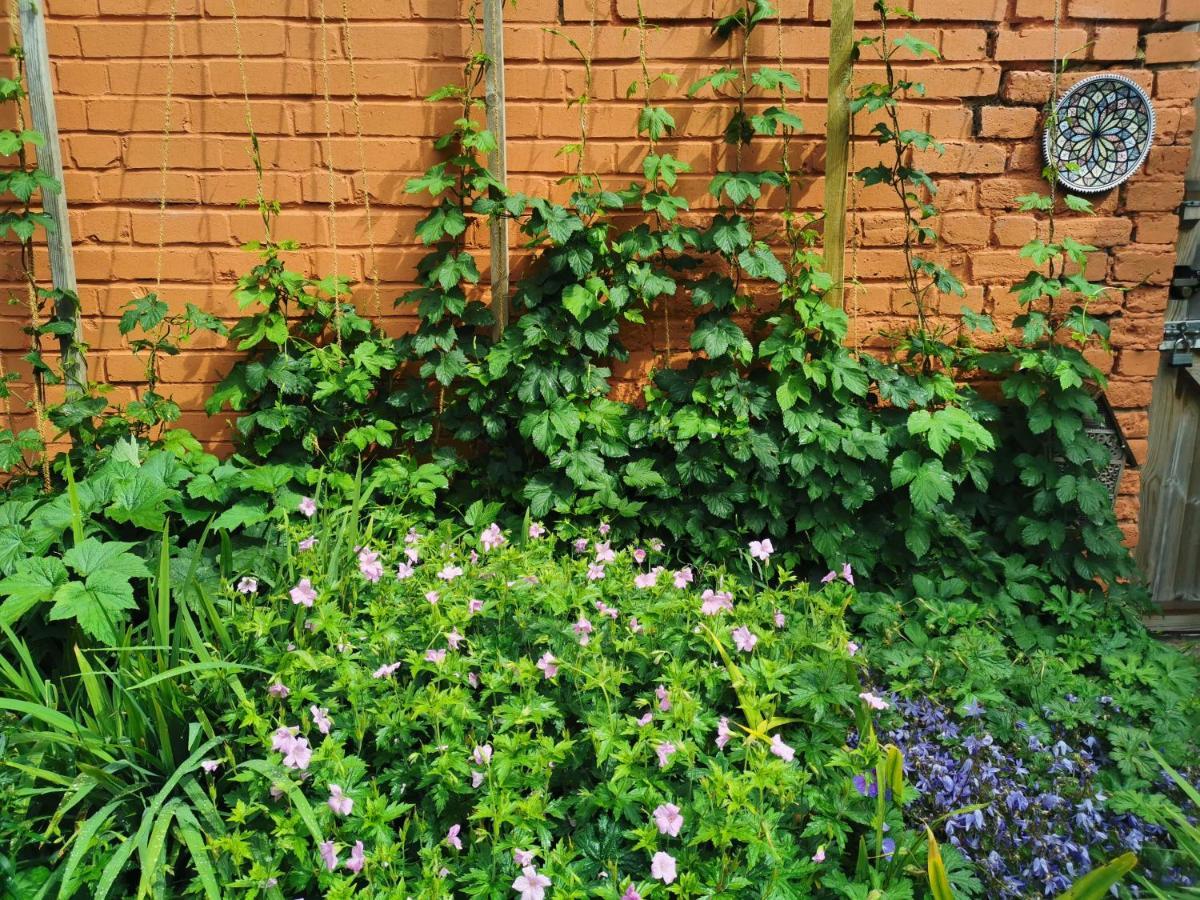 Bed and Breakfast Rosslyn Court Margate Exterior foto