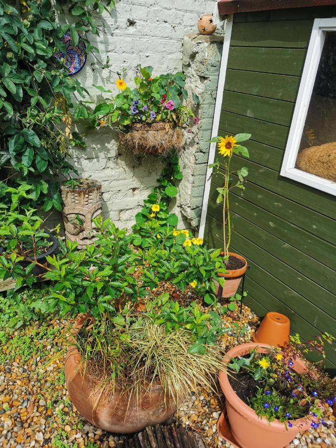 Bed and Breakfast Rosslyn Court Margate Exterior foto